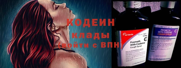 прущие грибы Бронницы