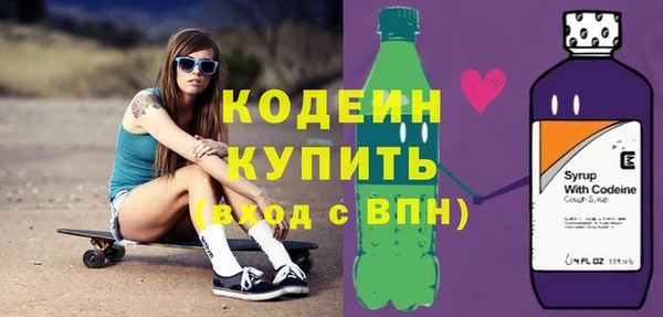хмурый Бородино