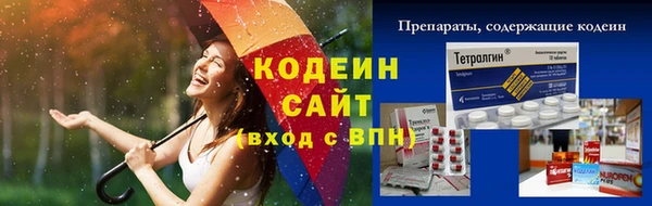 хмурый Бородино