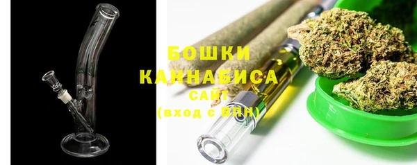 хмурый Бородино