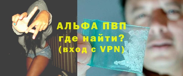 хмурый Бородино