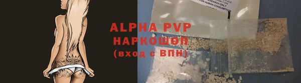 прущие грибы Бронницы