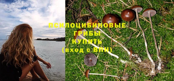 хмурый Бородино