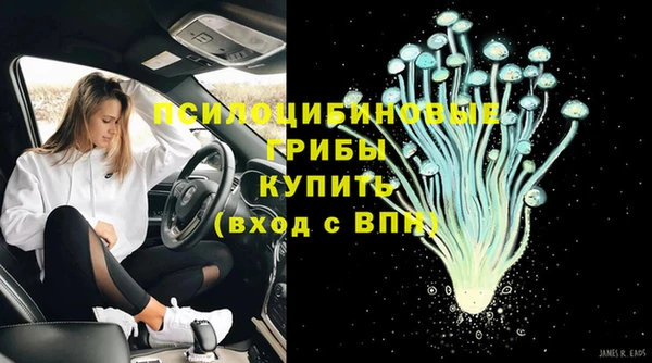 хмурый Бородино