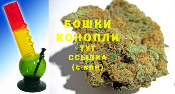 прущие грибы Бронницы