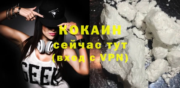 прущие грибы Бронницы