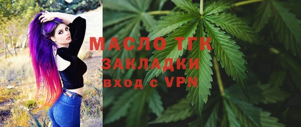 хмурый Бородино
