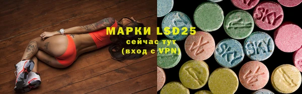 прущие грибы Бронницы
