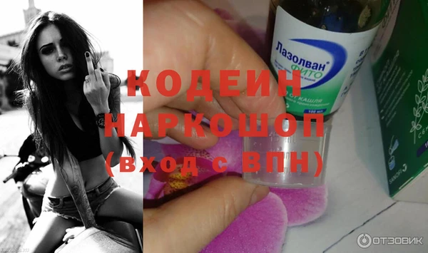 прущие грибы Бронницы