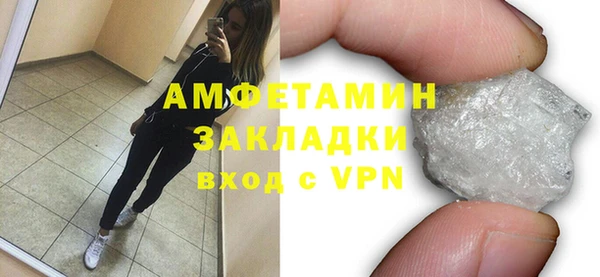 прущие грибы Бронницы
